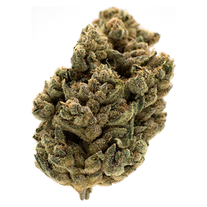 MTL Cannabis - Jungl' Cake - Sativa - 3.5g